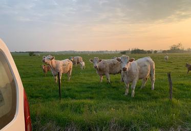 «La reproduction, c’est un ensemble de choses à considérer, dont l’alimentation, si l’on veut mettre toutes les chances de son côté», assure-t-on chez Gènes Diffusion.