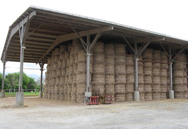 Aujourd’hui, la production de fibres longues est supérieure à la demande sur toute la zone de production (France, Belgique, Pays-Bas). 