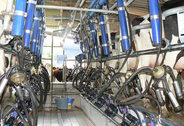 Les prix du lait progressent en Europe, mais les éleveurs français restent  confrontés à des défis sanitaires et climatiques.