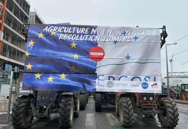 manifestation Strasbourg Mercosur