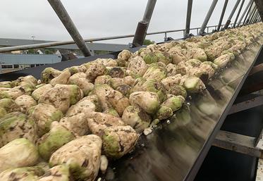 La CGB réalise au moins une visite par semaine dans chaque sucrerie, pour contrôler la réception des betteraves. 