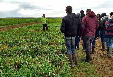 Le choix des couverts doit répondre à des objectifs fixés en fonction des contextes et contraintes de la parcelle. 