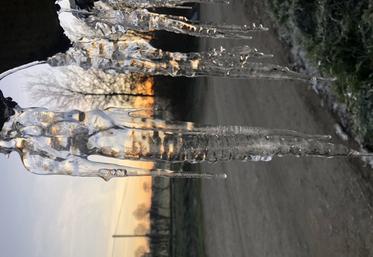 gouvernement budget agriculture