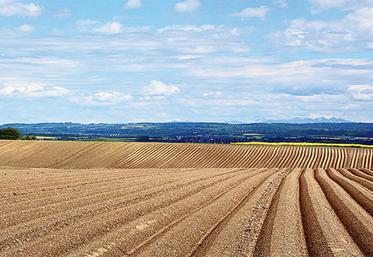 L’inscription des terres au bilan d’exploitation peut-être un atout fiscal,  à ne pas négliger.