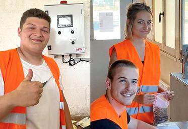 La coopérative Noriap recrute quatre cents saisonniers. 