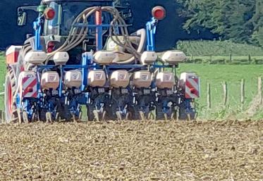 Semer trop tôt peut exposer les jeunes plantules à des stress climatiques et limiter le potentiel de rendement.