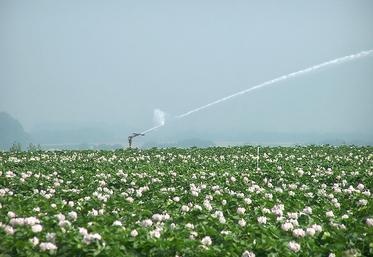 La Somme est le seul département des Hauts-de-France à opter pour le principe de gestion volumétrique de l'eau.