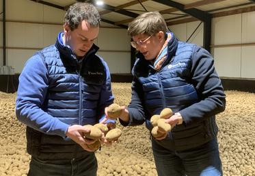 Pour la gestion du stockage, Alexis Madurel bénéficie des conseils d’Aurélie Pernel, responsable qualité pommes de terre chez Sana Terra. 