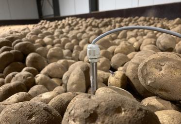 Le contrôle de la température du tas est essentiel. Des sondes sont réparties dans le bâtiment pour cela. 