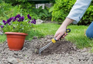 jardinage jardin 
