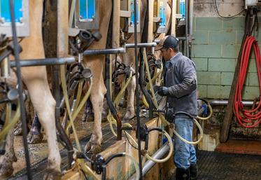 Tous les éléments de conjoncture laissent penser que l’élevage français, en particulier laitier, tirera son épingle du jeu. 