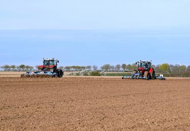 La préparation du sol représente une étape essentielle de la conduite de la culture.  