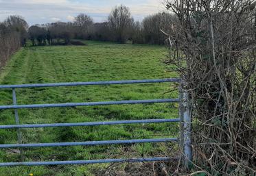 taille des haies entretien biodiversité