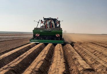 Cette année, le vent de Nord-Est permet un séchage fort mais principalement  en surface. 