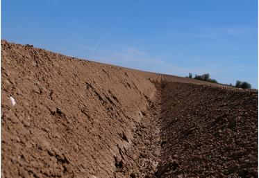 La hausse prévue des surfaces s’explique par la croissance de la demande, que ce soit au niveau national ou international, offrant des prix plus rémunérateurs aux producteurs.