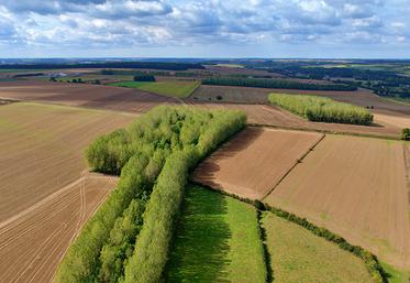 Avec une SAU couvrant 76 % du territoire, pour environ 4 500 exploitations,  la politique ne pouvait pas ignorer l’agriculture.