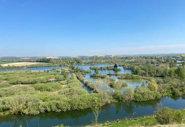 Cette année, le «Loto de la biodiversité» vise à récolter 10 M€ pour financer les dix-neuf projets annoncés,  dont, en Hauts-de-France, la renaturation du marais audomarois (62). 