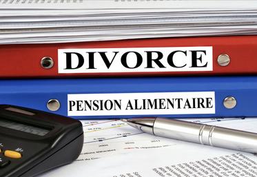 La pension alimentaire est déductible du revenu global sous certaines conditions que ce soit pour un descendant ou un ascendant. 