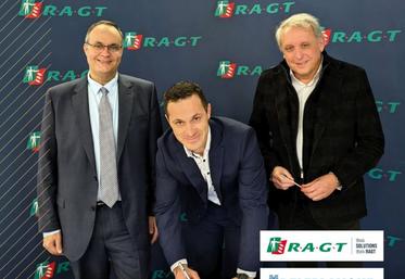 semences semis betteraves RAGT Deleplanque