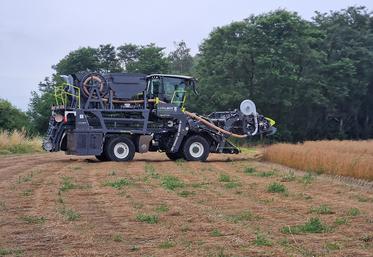 Pour la récolte 2025, la Calira disposera du seul prototype de cette arracheuse- strippeur visible en France. Deux autres modèles seront à l’œuvre dans les plaines belges. 