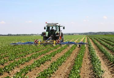En effet, en année sèche le désherbage mécanique s’avère souvent plus efficient que le désherbage chimique.