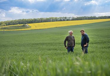 En 2024, le service Installation Transmission de la Chambre d’agriculture  de la Somme a accompagné près de 70 installations.
