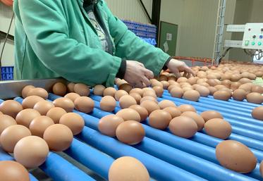 L’interprofession souhaite atteindre au moins 101 % d’approvisionnement français, contre 98,6 % aujourd’hui.