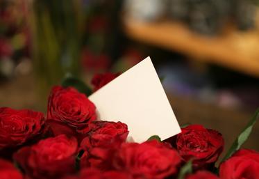 roses Fête des mères tradition fleurs