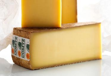 Comté Pierre Rigaux
