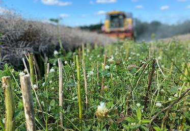Réduction du travail du sol, couverture et augmentation de la matière organiques  sont les clés du stockage de l’eau dans le sol. Mais les techniques de l’ACS  comportent aussi leurs problématiques. 