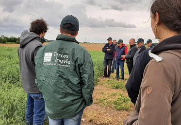 Le projet Protéi’sol consiste à mettre en place un collectif d’agriculteurs  pour «structurer la filière légumineuses à destination de l’alimentation animale  dans les Hauts-de-France» .