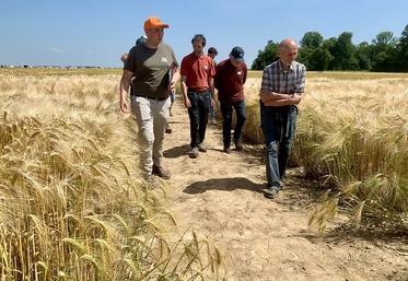Pour Lucas Hanquier, de Noriap, un bon escourgeon vaut mieux qu’un mauvais blé sur blé.