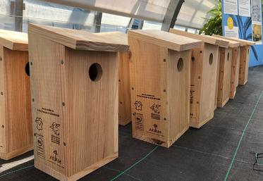 nichoirs mésanges chenilles processionnaires