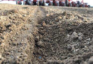 Quel que soit le semoir choisi, «le juge de paix est la régularité de levée  de la culture». Il faut donc connaître son sol, et régler son semoir en conséquence.  