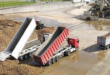 échanges transport de betteraves Cristal Union Tereos optimisation