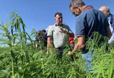 Pour Nicolas Defransure (à g.), directeur de Lin 2000, le chanvre textile a des atouts agronomiques exceptionnels. Il est déterminé à trouver un moyen de valoriser cette production. 