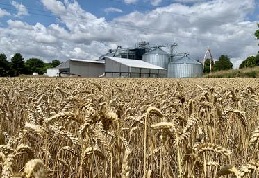 Pour la coopérative Sana Terra, le silo de Flesselles est le plus gros chantier  engagé depuis dix ans. 