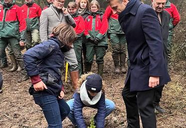 plantation arbres Emmanuel Macron