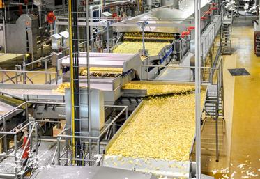 chips Roger & Roger pommes de terre