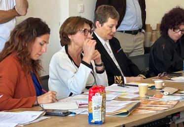 Annie Genevard Loi Duplomb