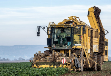 PPL Duplomb betteraves acétamipride censure Conseil constitutionnel FNSEA JA