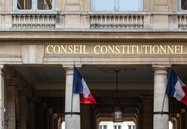 Conseil constitutionnel Entraves PPL Duplomb