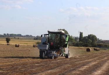Des conditions de rouissage qui ne sont pas au rendez-vous pour les derniers lins arrachés. 