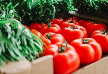 alimentation chaleur fruits et légumes de saison