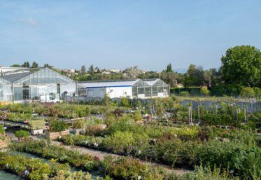 agression au couteau envers une professeur et un élève au lycée horticole d'Antibes