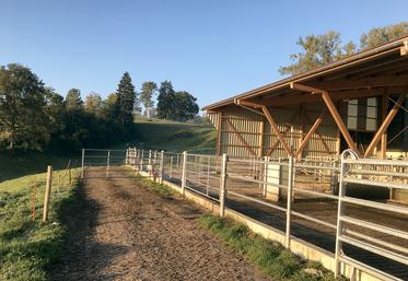 Le Pre'ad : une opportunité majeure dans la modernisation des bâtiments d’élevage.