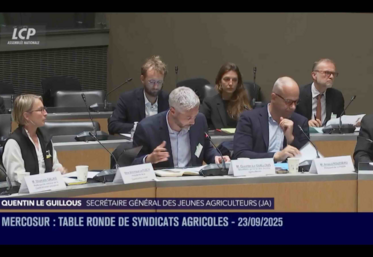 FNSEA Ruffin Mercosur débat Assemblée nationale