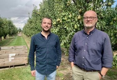 Maxime et Antoine Vanoye développent le verger, avec la production d’abricots  et de cerises, et la plantation de 6 ha supplémentaires de poiriers. 