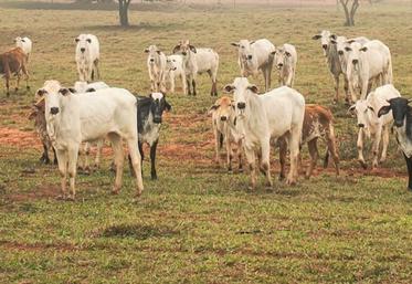 Mercosur accord commercial Union européenne 