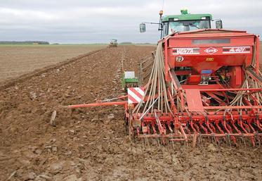 Selon le Groupe Carré, «2025 restera l’année des blés tardifs tandis que 2024  était à l’opposé…» Comment sera 2026 ? Encore un peu de patience. 